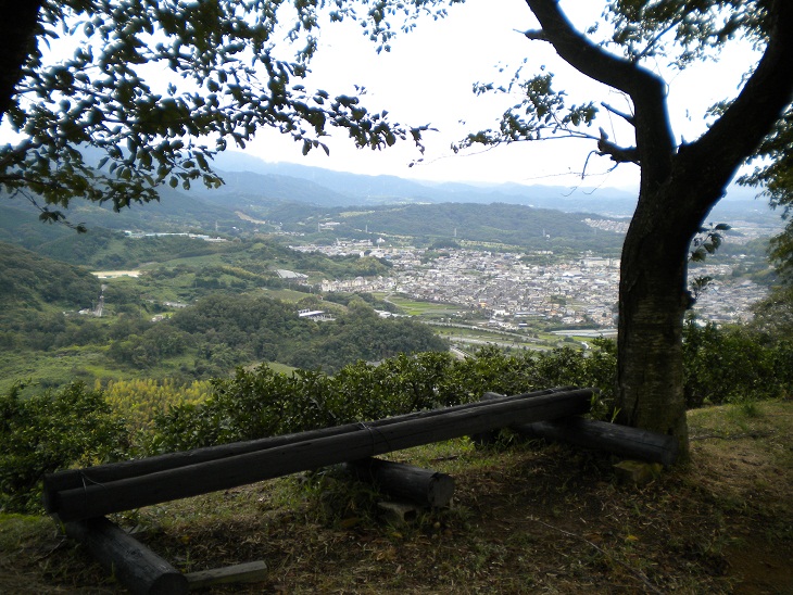 新DSCN0532.jpg