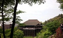 武田？１２.jpg