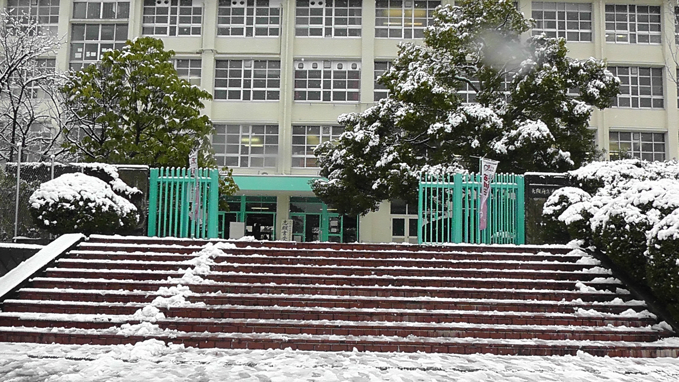 S1270041.JPG