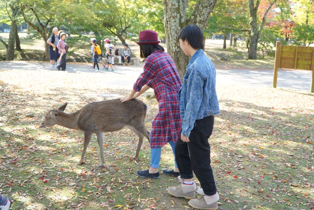 nara3.jpg