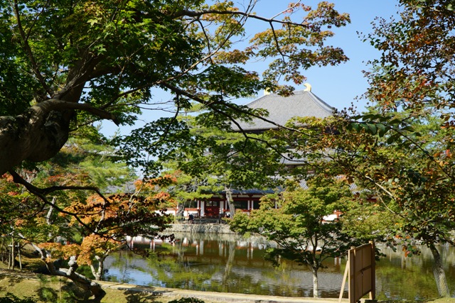 nara4.jpg