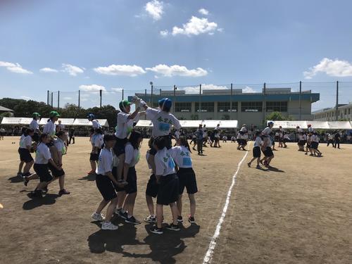 7E343363-C2D6-43B0-9865-C2FA8F4B3DB0.jpeg