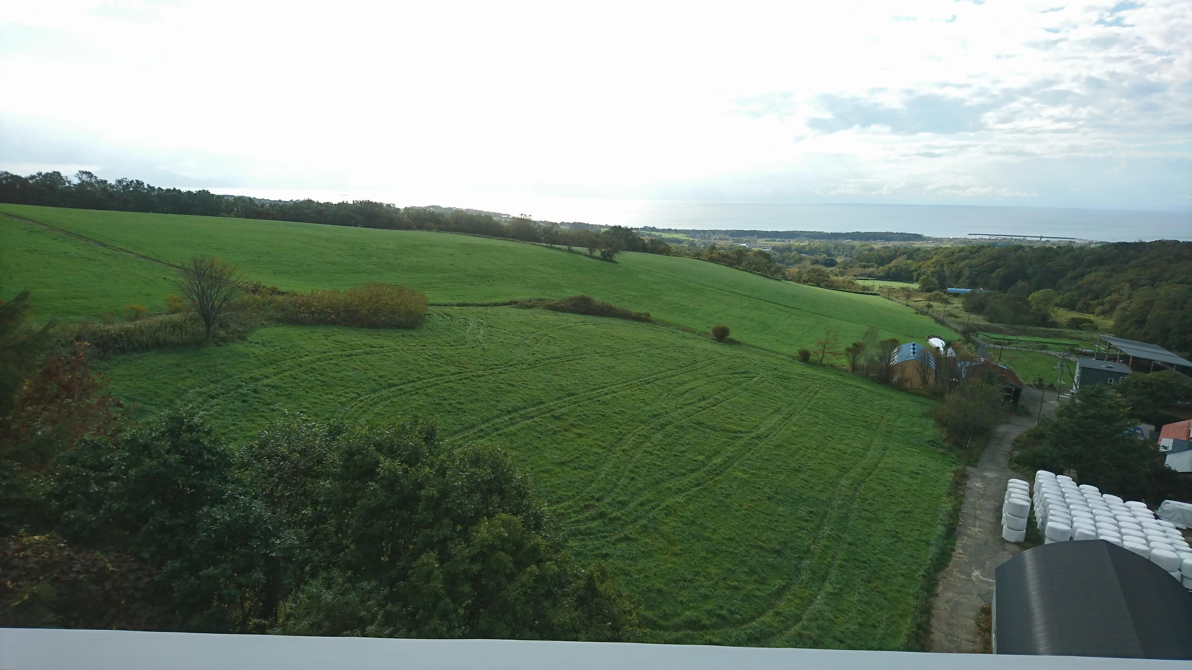 DSC_1947.JPG