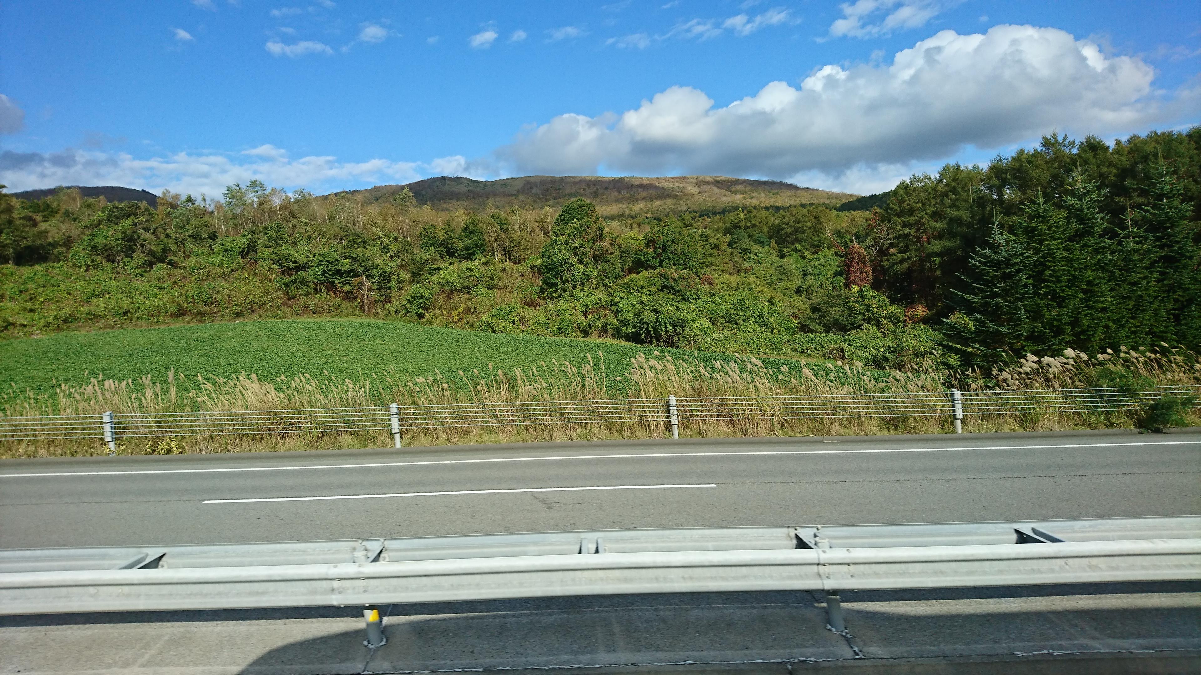 DSC_1954.JPG