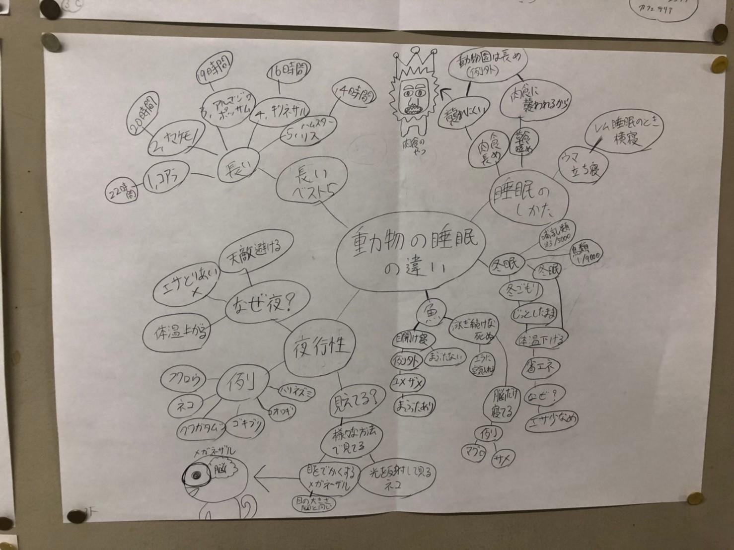 line_113062866906296.jpg
