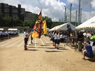 IMG_4468.JPG