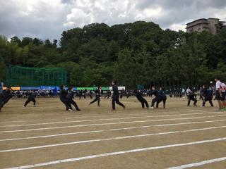 IMG_4487.JPG