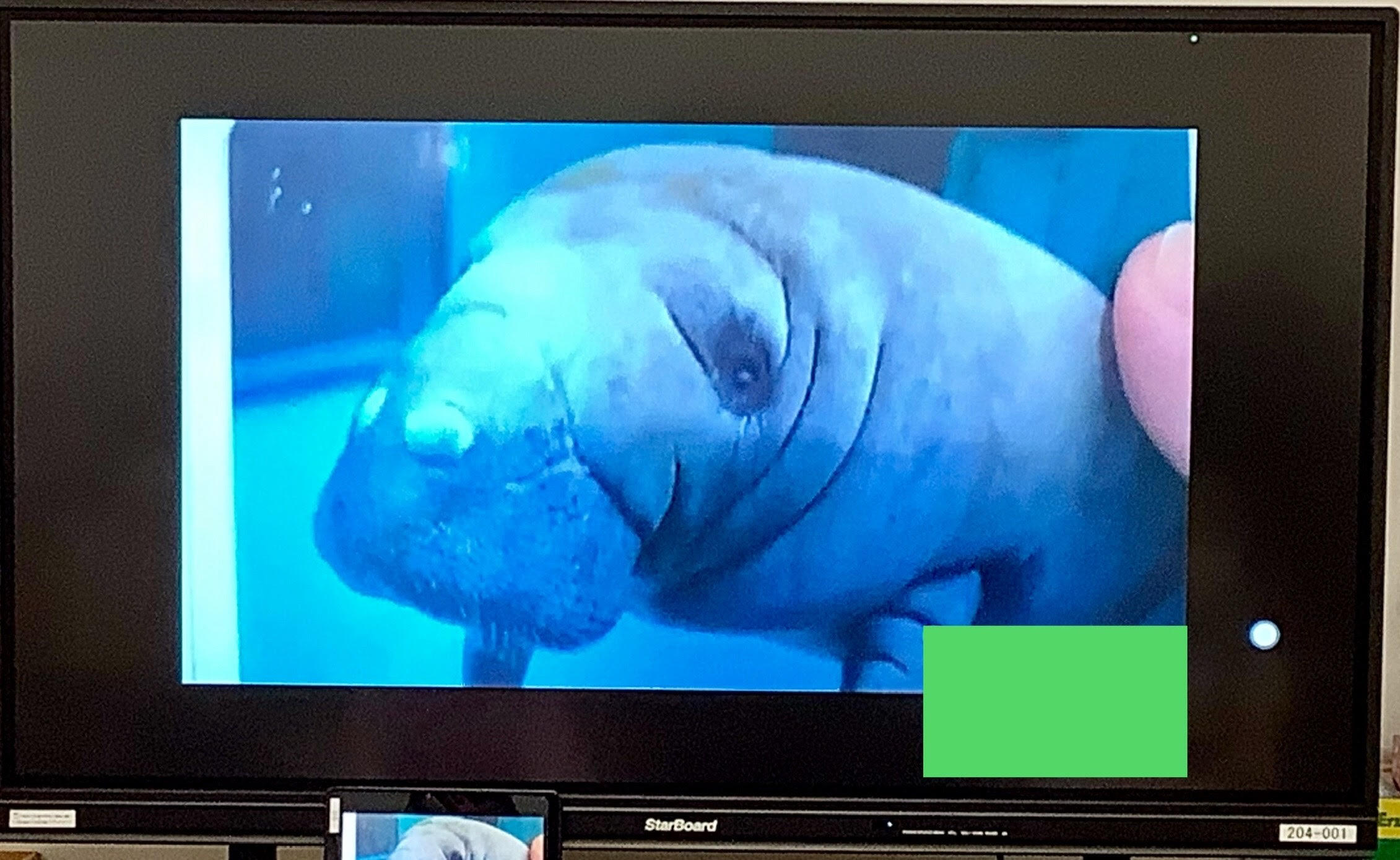 [7.19]美ら海水族館.jpg