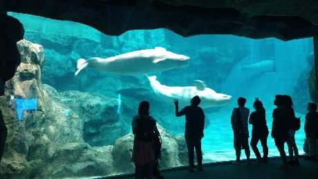 水族館3.jpg