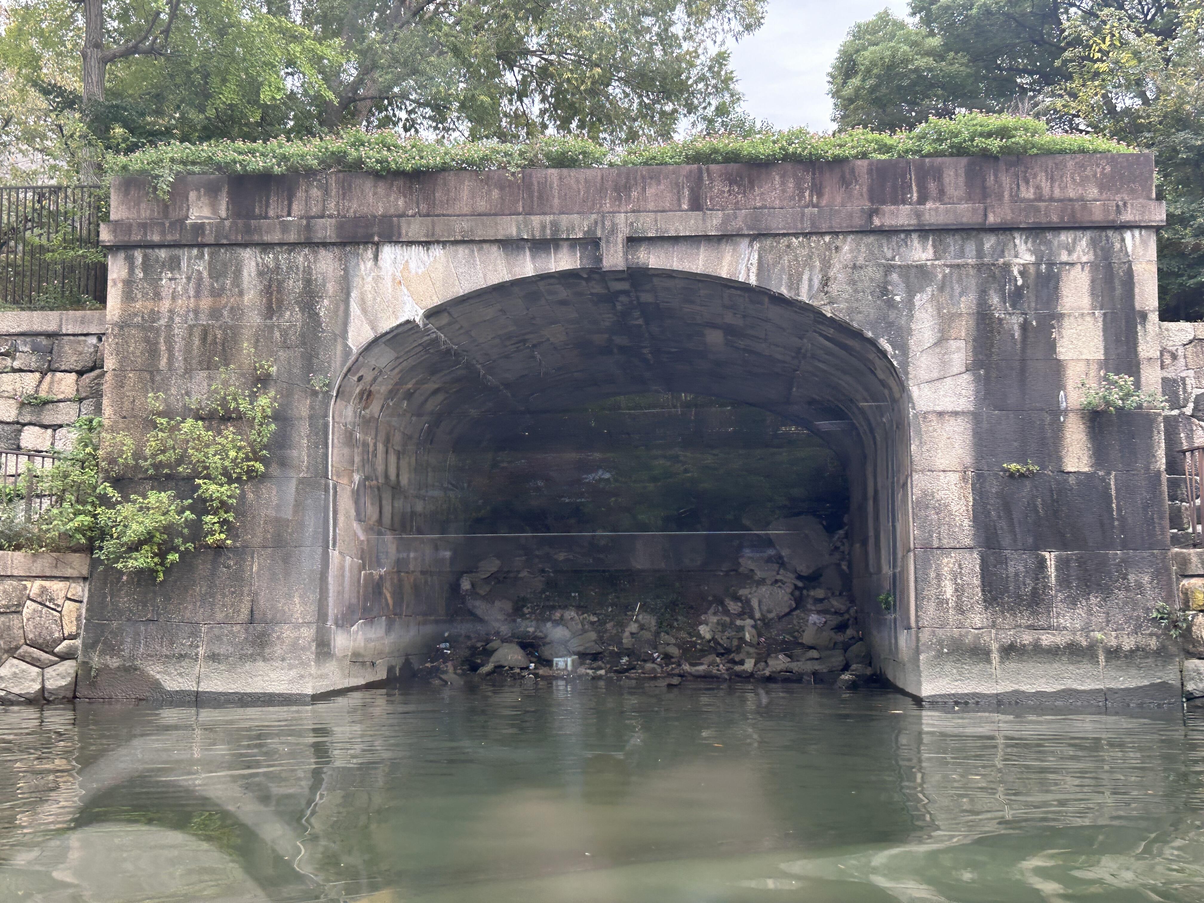 IMG_0425.jpeg