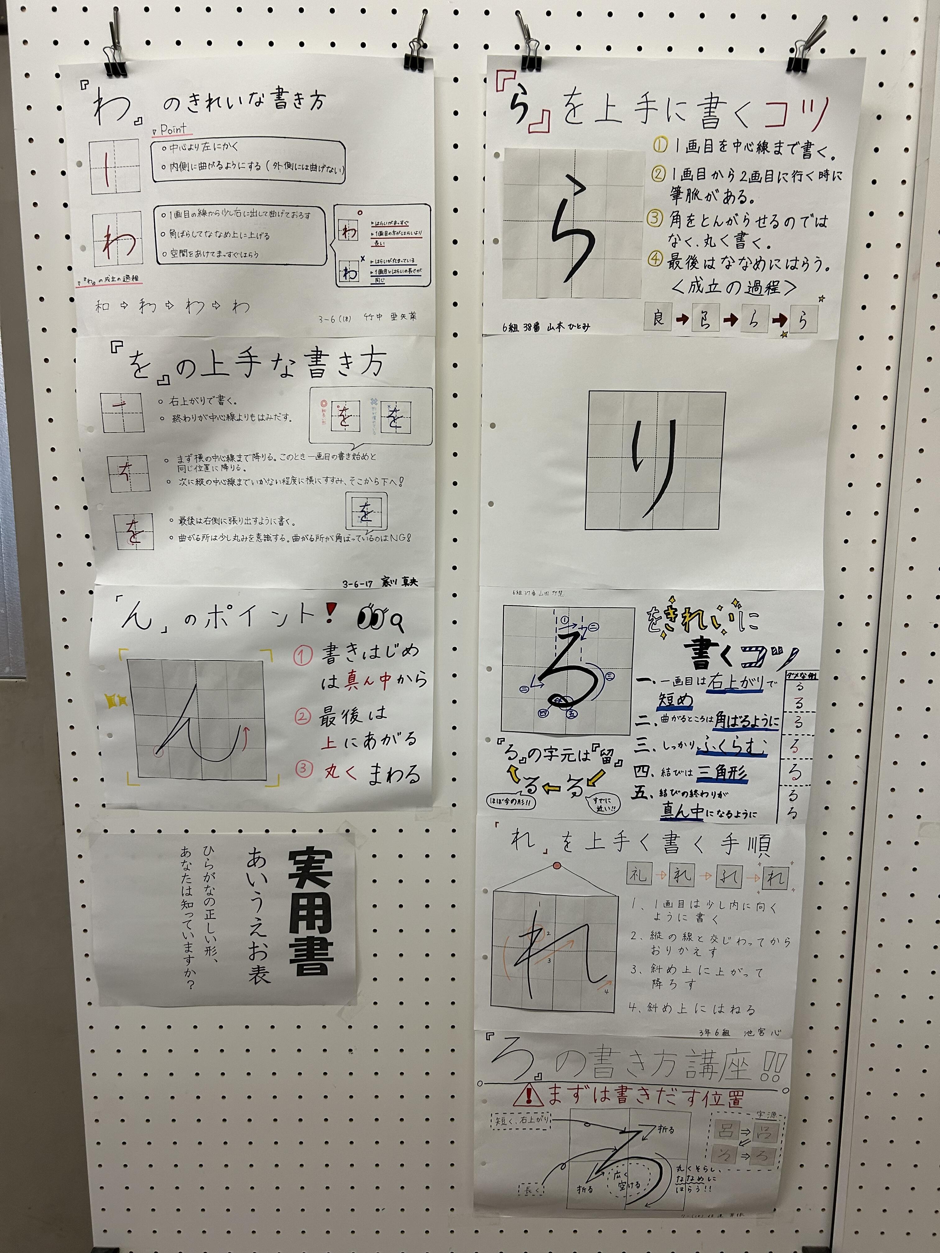 IMG_8910.jpeg