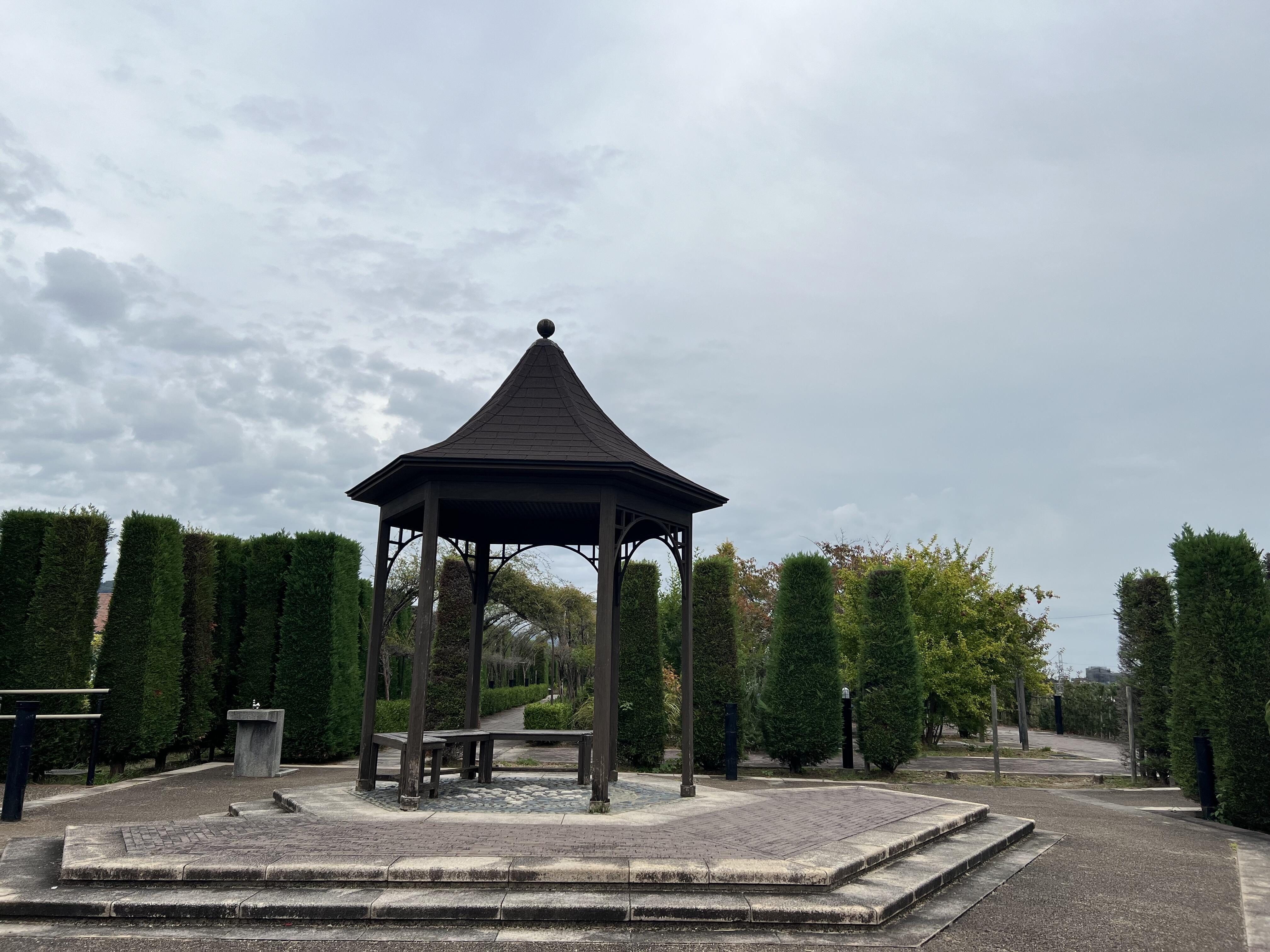 IMG_9946.jpeg