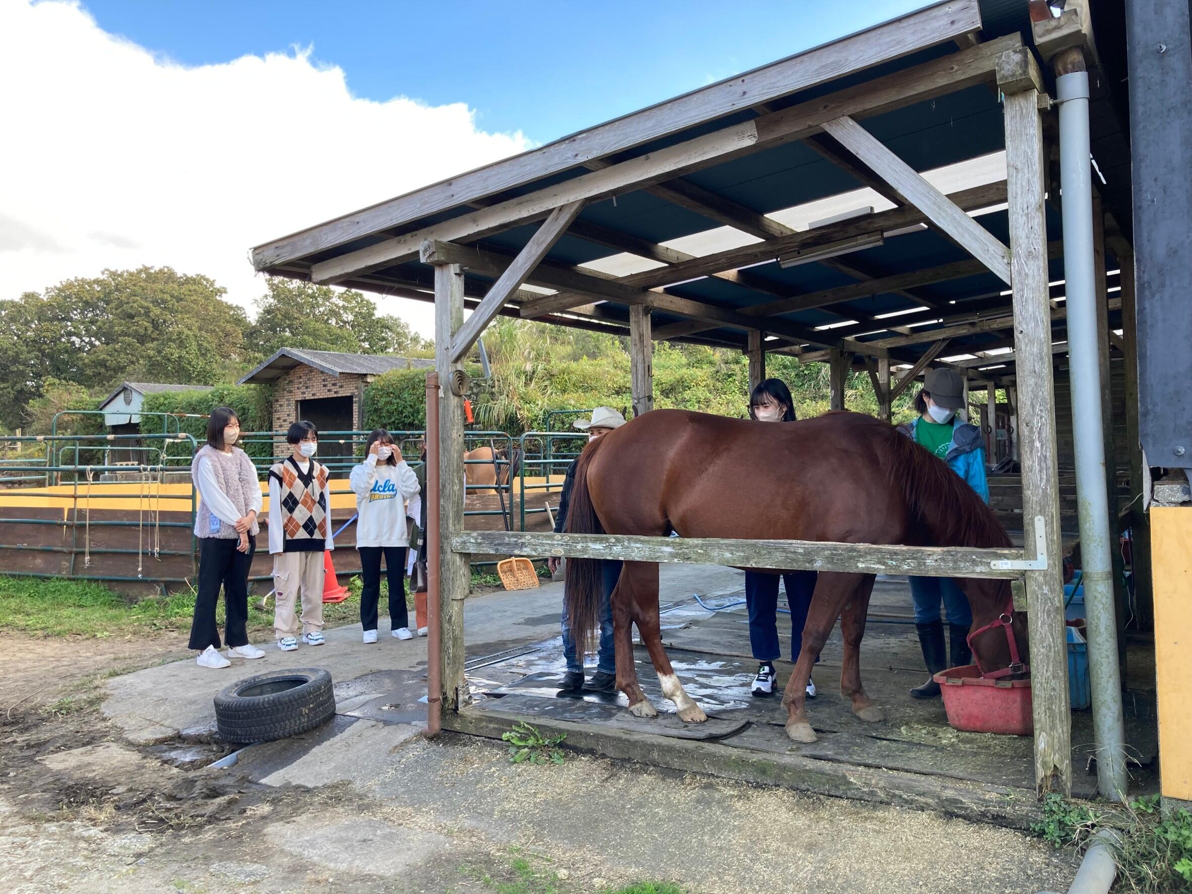 https://www.osaka-c.ed.jp/blog/makino/highschool/1665642291634.jpg