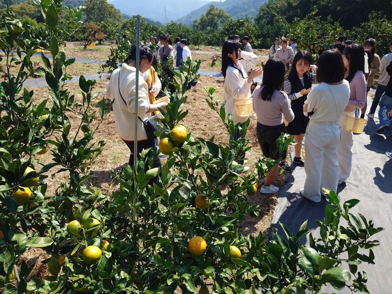 https://www.osaka-c.ed.jp/blog/makino/highschool/1697599153616.jpg