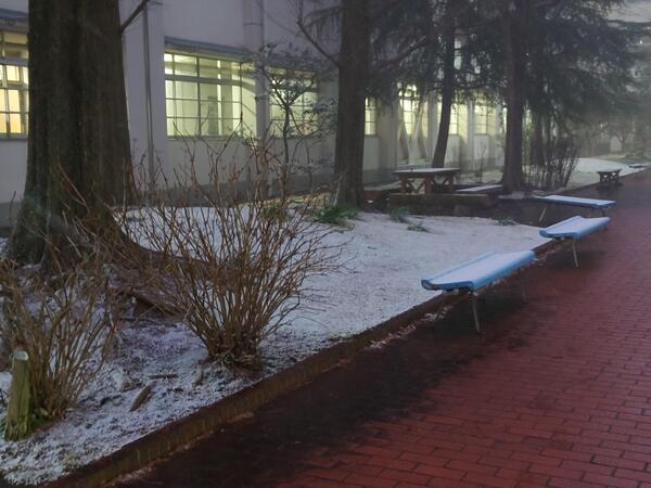20230124_172812.JPG