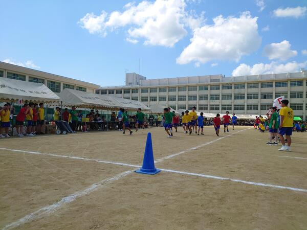 20240605_093947.JPG