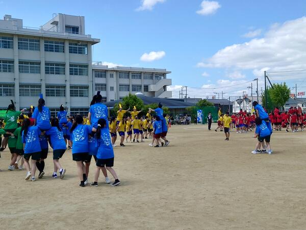 20240605_104120.JPG