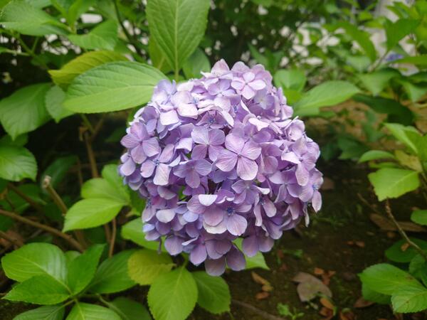 20240615_134302.JPG