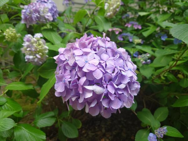 20240615_134402.JPG