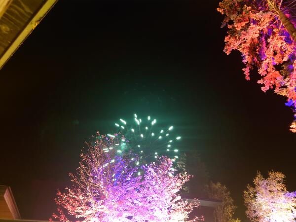 20241022_203107.JPG