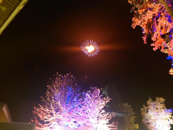 20241022_203113.JPG