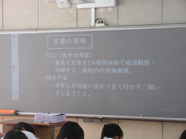 IMG_2939.jpg