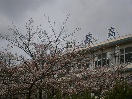 20160408桜と校舎.jpg