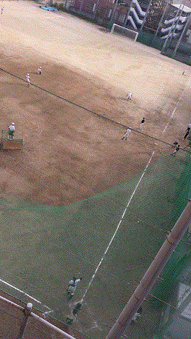 無題.gif