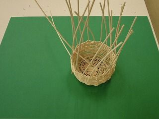CIMG0713.jpg