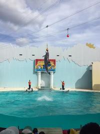 IMG_3341.JPG
