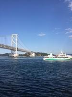IMG_3380.JPG