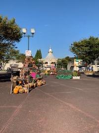 IMG_0458.jpg