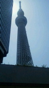 20130604tower.jpg