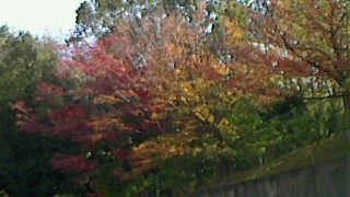 2013112010400000.jpg