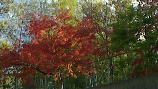 2013112311220000.jpg