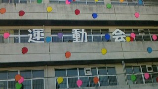 201408390000.jpg