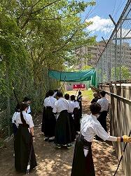 LINE_ALBUM_2025.4.29履正社高校との合同練習_250506_2.jpg