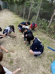 S__45162508.jpg