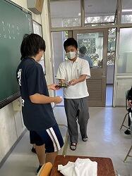 S__46678063_0.jpg