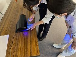 S__55721995.jpg