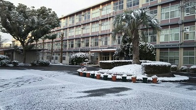 170116 雪の箕面東3