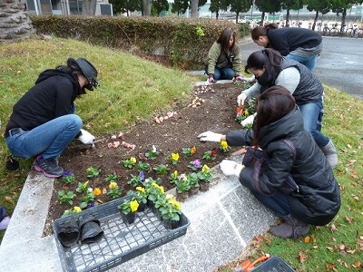 161109花の植え付け3