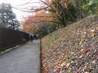 161124 登校風景3