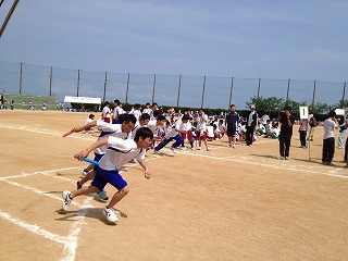IMG_6582.jpg