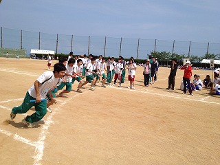 IMG_6587.jpg