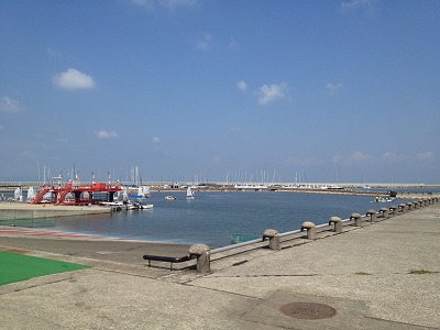 IMG_8164.jpg