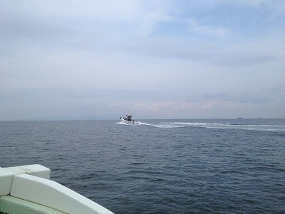 IMG_8263.jpg