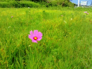 0905-7.jpg
