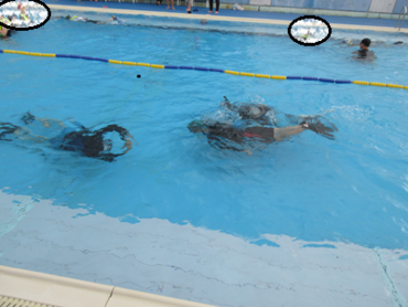 IMG_8567.png