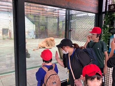 ⑩動物見る.jpg